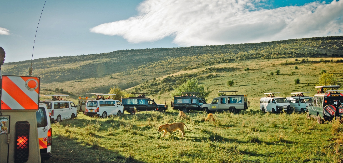 Images available but not displaying well